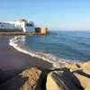 mustafabensafia