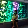 daladampiland3