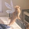 fffluefiy_