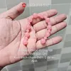 dinhmap_gambidaknong