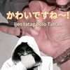 puguh1955