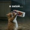 _.hophey._
