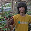 bobsanthurium