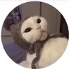 miazoe_06