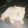 penraikrab