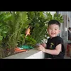 hoang_phuong22