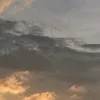jaeshfr