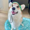 tamarind_0922