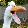 duckyduckz1