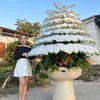 Hoa Nhà Thuỷ
