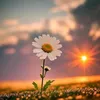 www.tiktok.commay17