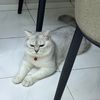 luckytom20