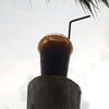 uly_13123