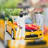 shinesh_fd2r