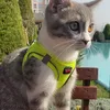 aynur0034