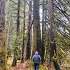 vancouverislandgill