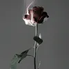aii._v