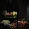 haihoa0401