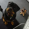 andyyyy_dasko594