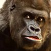 monkezusan