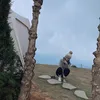 hong_mjni