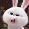 nazur__