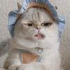 nourynd_