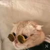 catkeroro