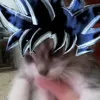 zora_tok