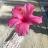 h.mincii