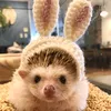 khanhthyyy0601