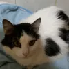 magdaherrerasoto