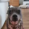 lilja_20