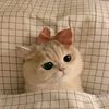 effa__02