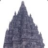 duaputree