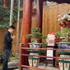 letrongdung36