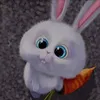xunnne2