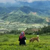giang_110699