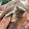 luna_catalunya8