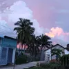 ngoduyen_