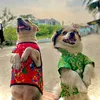Doglacho97