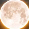 _luna.selenophile