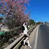 vananhxinh502