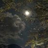 moon.at.midnight2