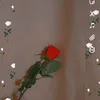 jen_betty_prosim