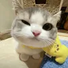 vivi.znn