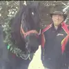 philmorgan06