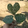co_ba_la_69