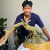 phuocphanbon