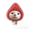 qtpuwpt